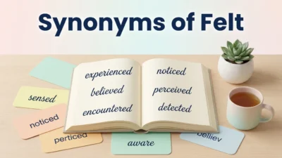 Synonyms of Felt