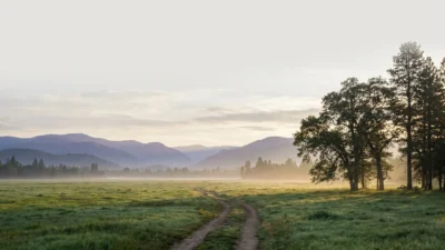 Synonyms for Outdoors